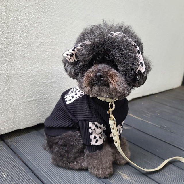 【予約】ヒョウ柄パンツ＆トップス　オソロ　リンクコーデ　ワンコとペアルック〈nounnou〉韓国 韓国犬服 ドッグウェア