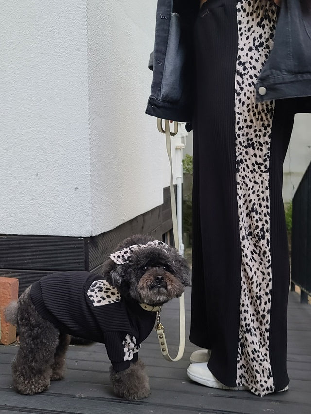 【予約】ヒョウ柄パンツ＆トップス　オソロ　リンクコーデ　ワンコとペアルック〈nounnou〉韓国 韓国犬服 ドッグウェア