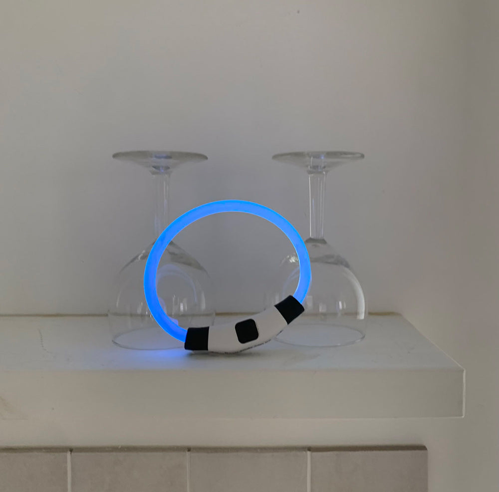 【予約】お散歩用光るネックレス　LED充電式〈Frei〉韓国 韓国犬服 ドッグウェア お散歩