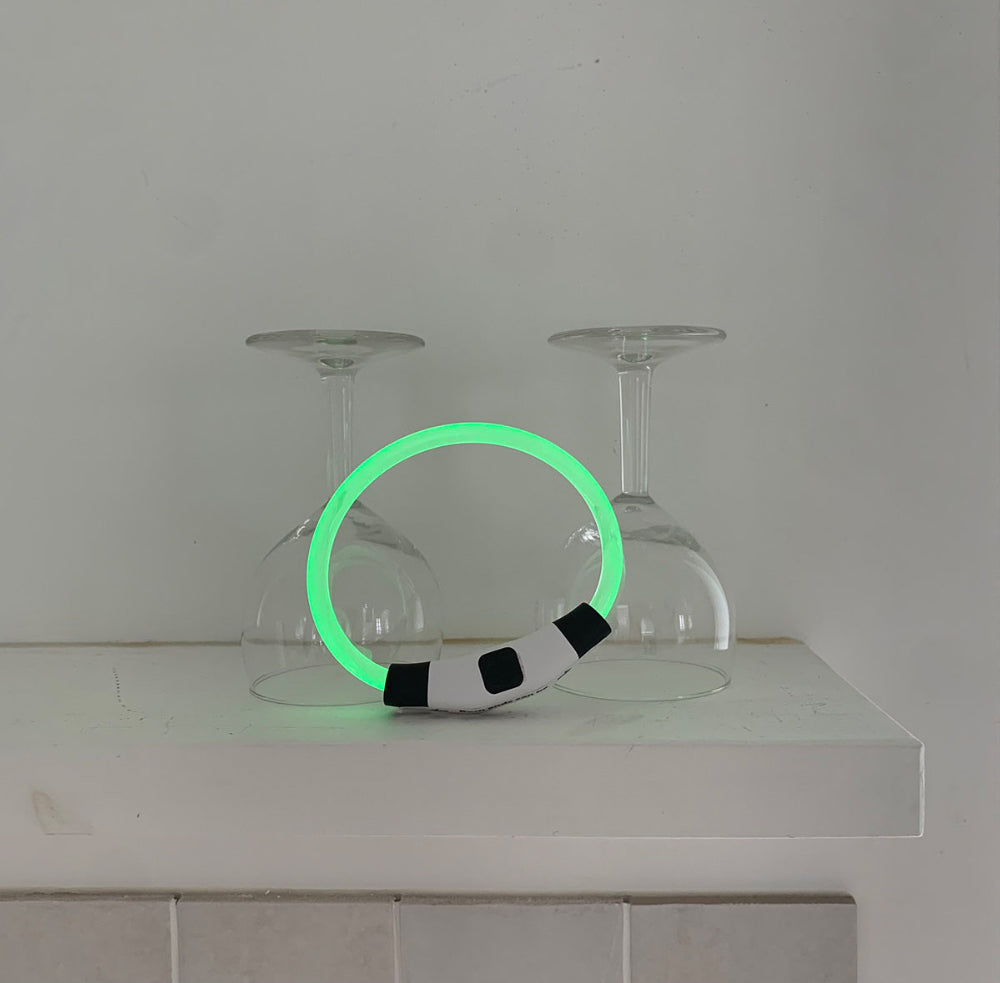 【予約】お散歩用光るネックレス　LED充電式〈Frei〉韓国 韓国犬服 ドッグウェア お散歩