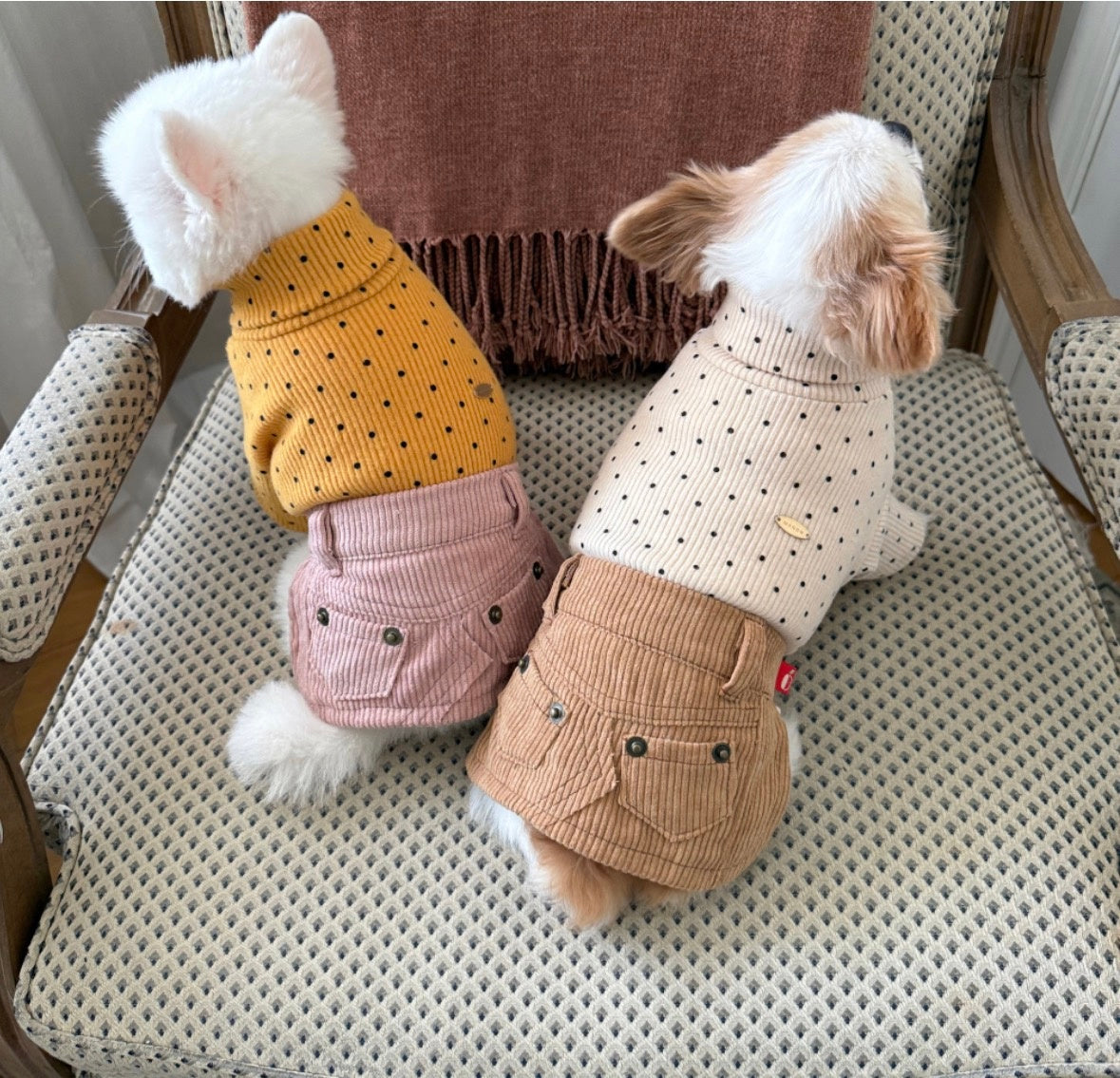 【予約】コーデュロイスカート〈apple〉韓国 韓国犬服 ドッグウェア