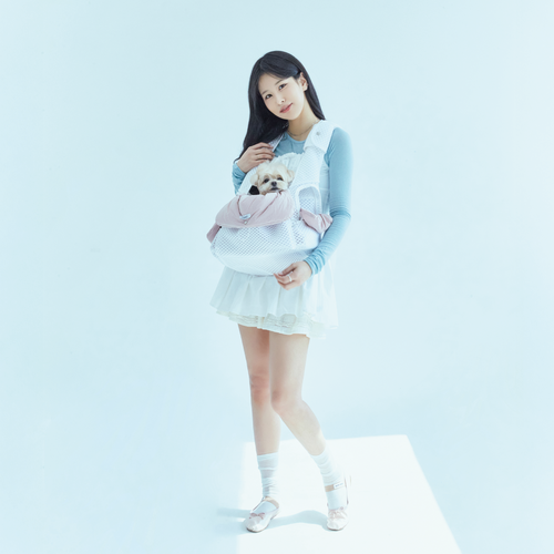 【予約】Uni Bag(+ Cushion)Sサイズ〈TOMO〉韓国 韓国犬服 ドッグウェア スリング