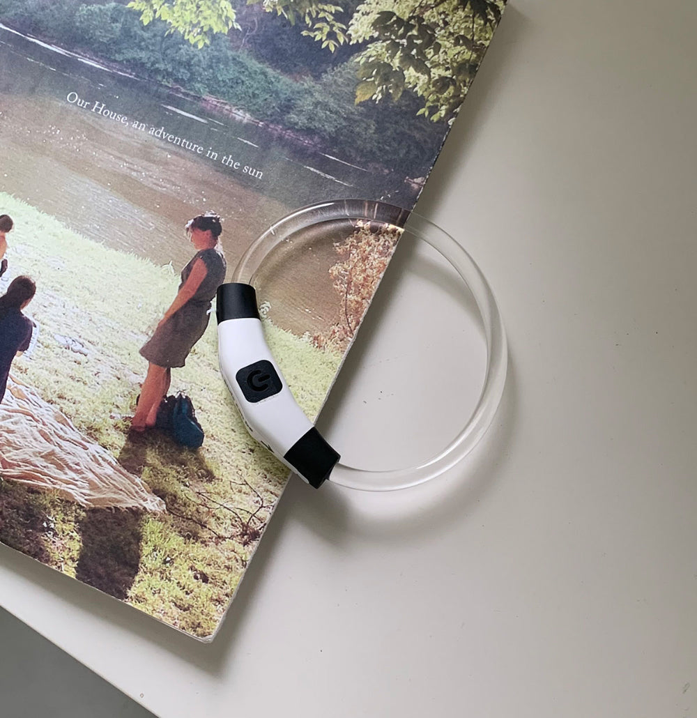 【予約】お散歩用光るネックレス　LED充電式〈Frei〉韓国 韓国犬服 ドッグウェア お散歩