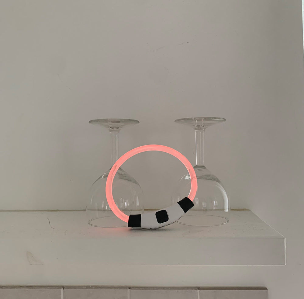 【予約】お散歩用光るネックレス　LED充電式〈Frei〉韓国 韓国犬服 ドッグウェア お散歩