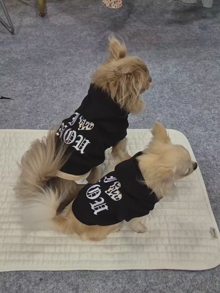 【予約】ヒョウ柄のハートが可愛いトレーナー　オソロ　リンクコーデ　ワンコとペアルック〈nounnou〉韓国 韓国犬服 ドッグウェア